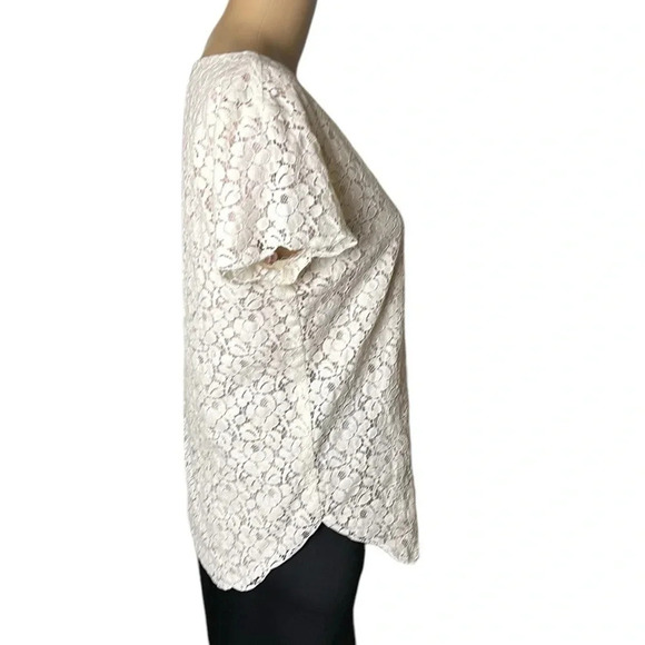 Floral White ,off white,lace sheer top ,with pink underlay, Ariztia Talula, - Picture 5 of 17